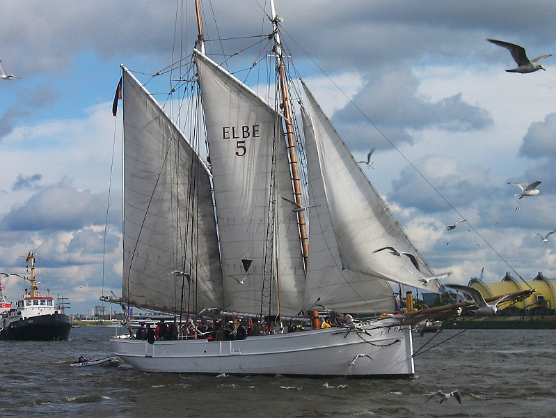 102_0228_B.jpg - Hafengeburtstag 2005, Auslaufparade, Lotsenschoner Elbe 5 (Deutschland)