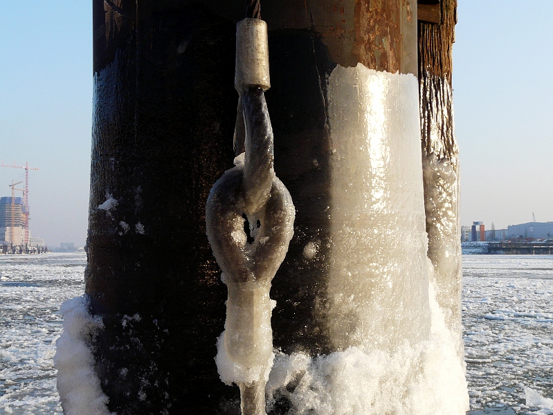 P1030319.jpg - Vereister Dalben im Hamburger Hafen