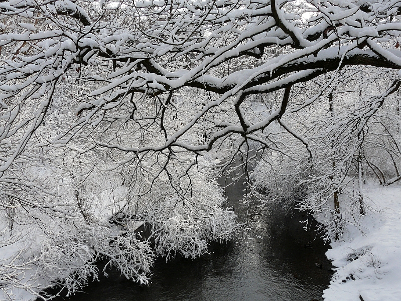 P1030343_B.jpg - Poppenbüttel, verschneite Alsterlandschaft