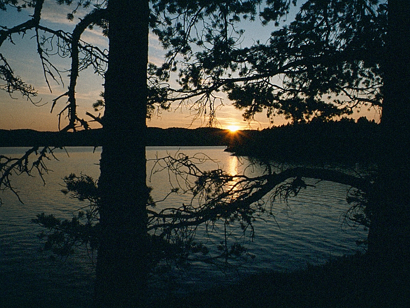 1981_Dia002_B.jpg - 1981, Dalsland, Gebiet: Foxen, Stora Le, Lelång -