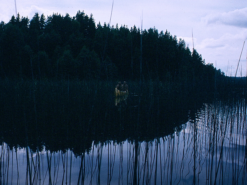 1981_Dia006_B.jpg - 1981, Dalsland, Gebiet: Foxen, Stora Le, Lelång -