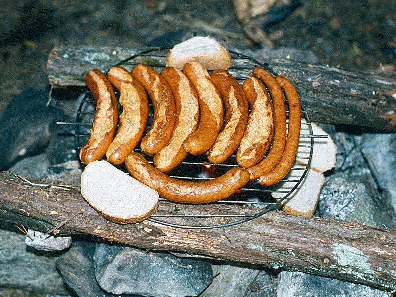 1981_Dia011_B.jpg - 1981, Dalsland, Gebiet: Foxen, Stora Le, Lelång - Grillen auf der Feuerstelle