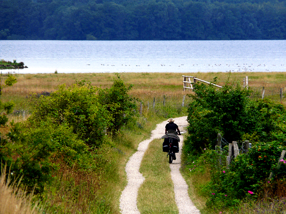 Radweg am Großen Plöner See